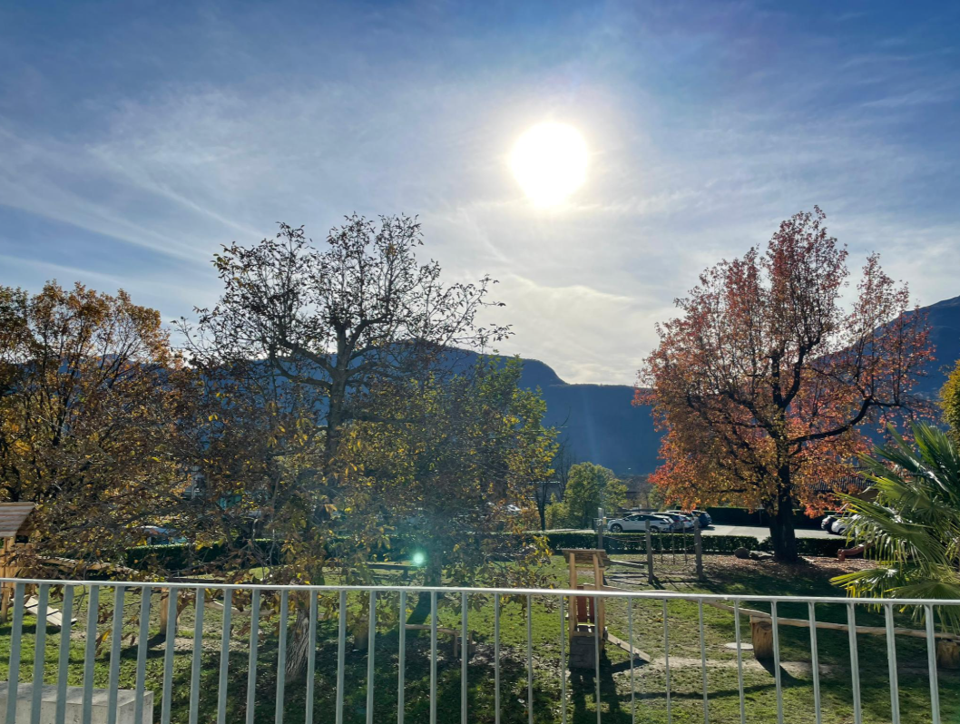 Screenshot 2025-07-30 175030